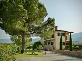 Οlives and Vines all seasons villa