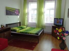 布拉格洛基卡公寓，位于布拉格的酒店