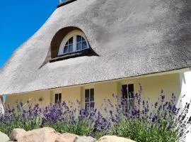 Ferdinand - Ferienhaus mit Kamin und Sauna für 6 Personen