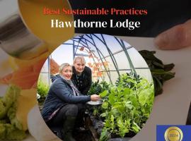Hawthorn Lodge，位于贝尔特比特Drumlane Abbey附近的酒店