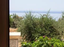 Emilia's Guest House Ground Floor