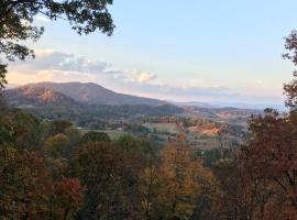 Top of the Line Asheville Mountain Cabin，位于Leicester的酒店
