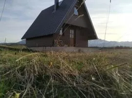 Brown cabin