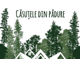 Căsuțele din pădure，位于布泽乌的酒店