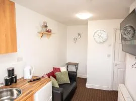 BV Homely Cozy Studio Apt Free Parking 10 Mins From Town Centre