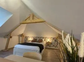 Thuit de l'Oison - Magnifique appart F2 duplex