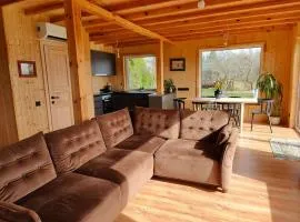 Modern family house by the lake in Zarasai