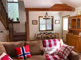 Norwegian Cabin Charming 3 BDR with Forest Views