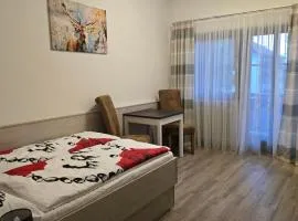 Apartment im Hotel Rottalblick