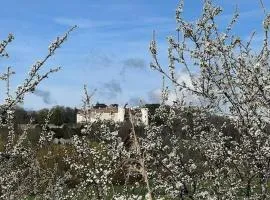 le Gîte de Marie Ray Sur Saône
