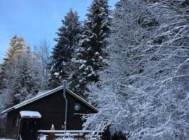 Chalet cosy proche de Gérardmer et Colmar - Nature, WIFI, 2 chambres, terrasse, garage - FR-1-589-306，位于普兰凡的酒店