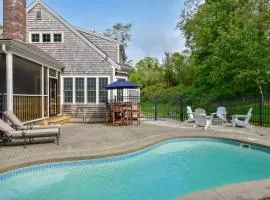 In-Ground Plunge Pool Dog Friendly!