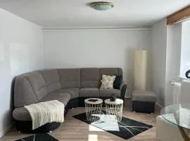 Erzhof Nassau- Ferienwohnung an der Loipe