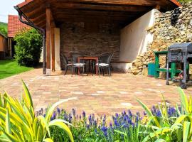 Penzión Villa Agnes，位于斯莫列尼茨的酒店