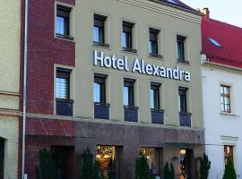 Hotel Alexandra，位于Olesno的酒店