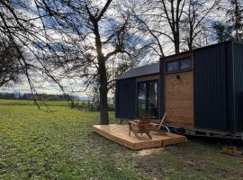 Lisi Grun Tiny House，位于萨特勒特的小屋