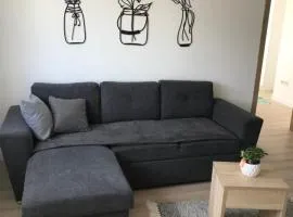 Apartman SLAVONIA 2