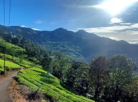 Rainbow homestay Munnar，位于Anachal的酒店