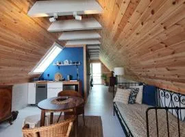 Apartament Nowiny