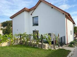 Stará Vinice Velké Žernoseky 93，位于Velké Žernoseky的住宿加早餐旅馆