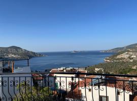 Villa Deniz，位于卡尔坎的酒店