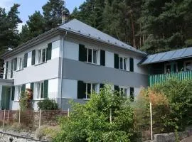 Apartments Michovka