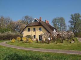 Tolles Ferienhaus in Poseritz mit Garten, Terrasse und Grill，位于坡瑟利特兹的酒店