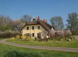 Tolles Ferienhaus in Poseritz mit Garten, Terrasse und Grill