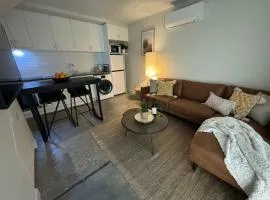 New Listing Loft Apt & A C in Heart of Devonport