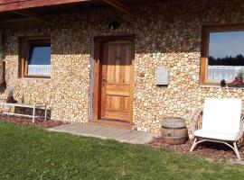 Apartmaji BOR&Scaron;TNER，位于Vransko的带泳池的酒店