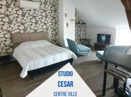 Centre de Provins : superbe appartement neuf，位于普罗万的酒店