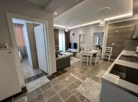 Modern apartment Fishta Q5 22