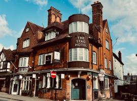 The Stag Hotel, Restaurant and Bar，位于林德赫斯特的酒店