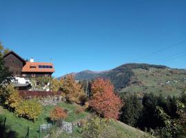 FW Schnuckel in 300a Altem Bergbauernhaus 1110m，位于Plessnitz的酒店