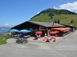 Berghotel Wiriehorn，位于Diemtigen的酒店