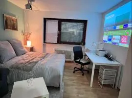 Private room with large bed -Netflix and projector