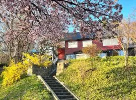 Mountain View Totoro Villa