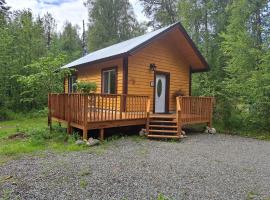 Talkeetna Fireweed cabin 2，位于塔尔基特纳的度假屋