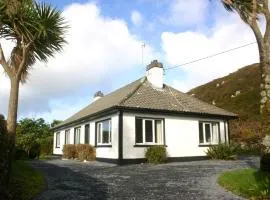Clifden 356 Sky road