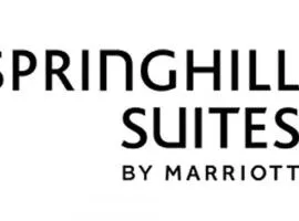 SpringHill Suites by Marriott Phoenix West/Avondale