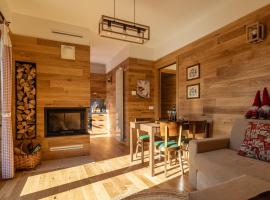 Chalet Ponciai [10min sky slopes]，位于Dorga的酒店