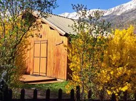 Chalet en Bois avec Terrasse et Jardin, Proche de Barcelonnette, jusqu'à 6 Personnes - FR-1-165A-151