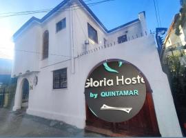 Hostal Gloria Viña，位于维纳德马的酒店