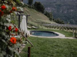 Engadiner Apartments & Wines，位于蒙塔尼亚的酒店