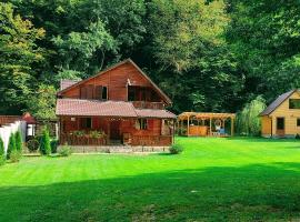 Cabana dintre vai Strungari，位于Plaiuri的酒店