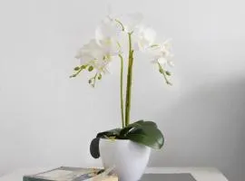 Apartamento Playa Morro Jable 2c