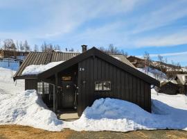 Gorgeous Home In Rjukan With Kitchen，位于Rjukan的酒店