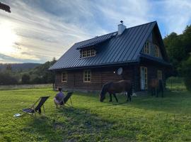 Nad Mikowym Potokiem - wydzielona część drewnianego domu z osobnym wejściem i ogrodem，位于Mików的酒店