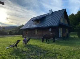 Nad Mikowym Potokiem - wydzielona część drewnianego domu z osobnym wejściem i ogrodem