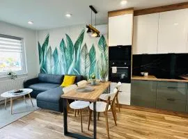 Apartamenty Dębowa 10